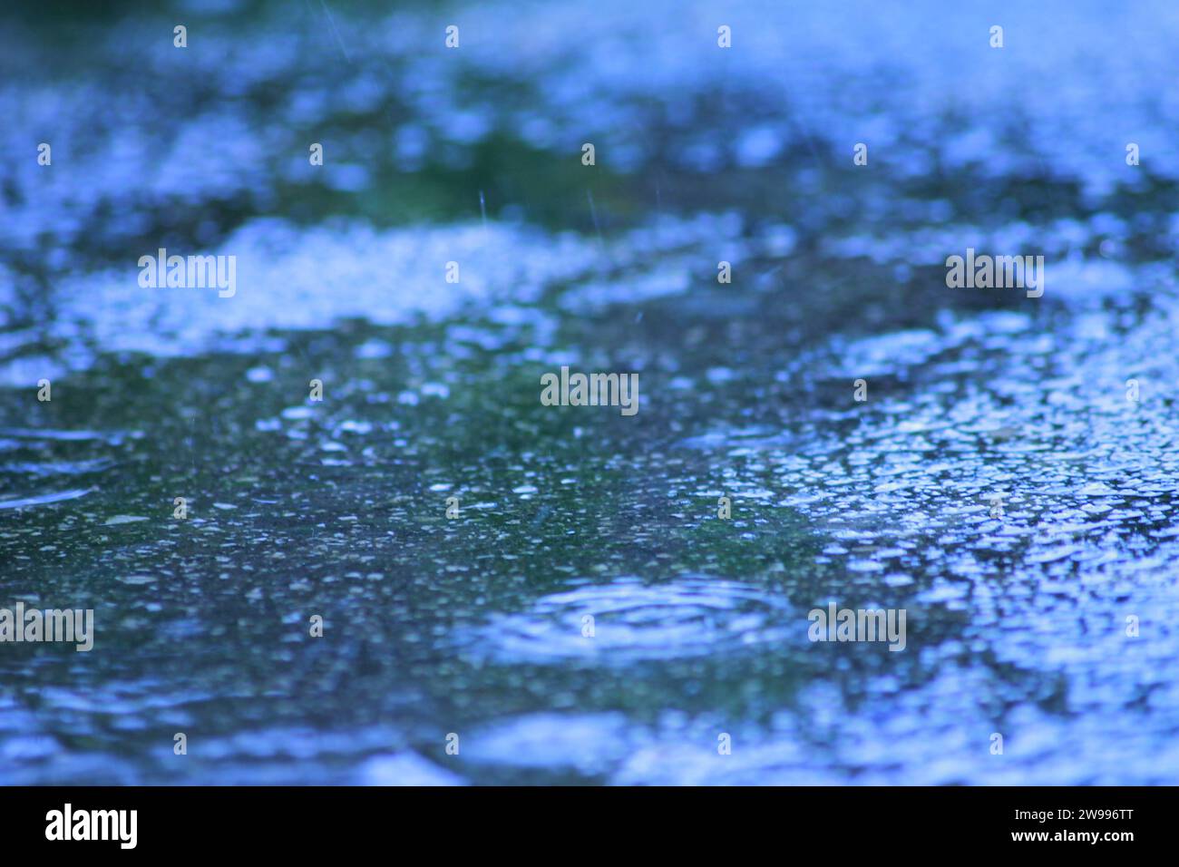 Der nasse Boden mit Pfützen bei Regen Stockfoto