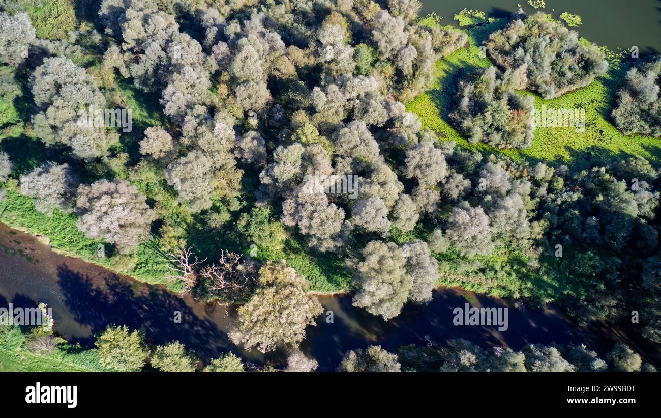 Eine Luftaufnahme einer bewaldeten Landschaft mit einem sich windenden Fluss. Stockfoto