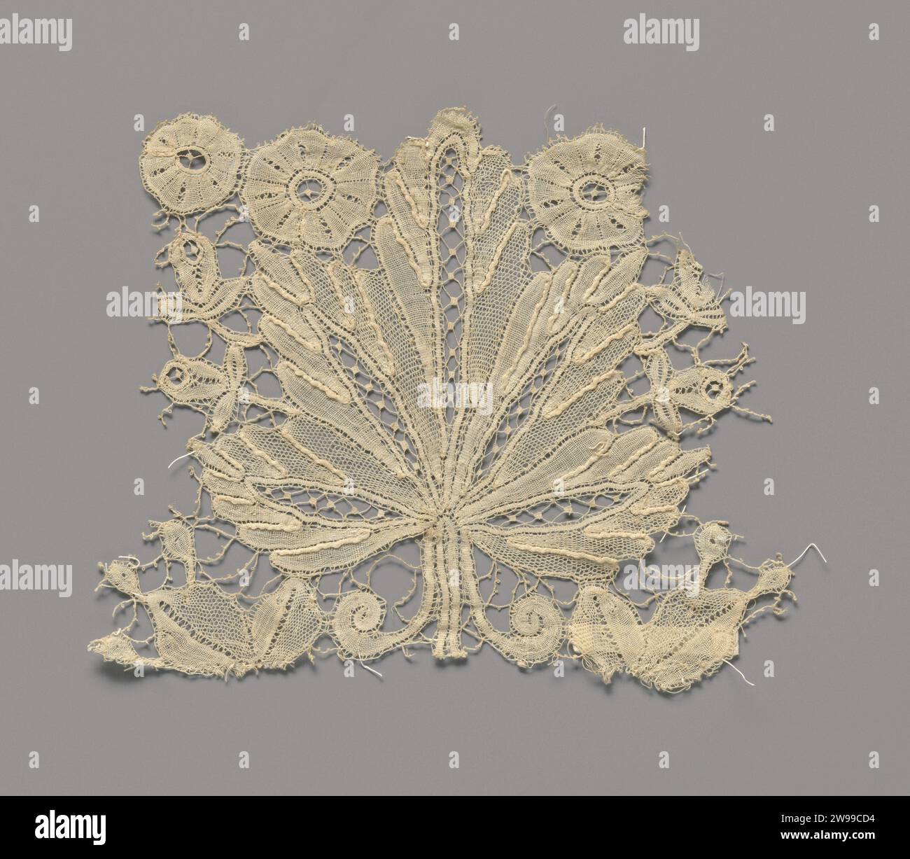 Fragment kloskant met wijnblad, anonym, um 1875 - um 1899 Fragment Fragment Naturfarbige Spule: Feine Brücken-Blumenarrangements. Das Muster besteht aus einem symmetrischen Weinblatt mit zwei Locken neben dem kurzen Griff. Das Blatt ist von drei kleineren Rosettenblüten, vier Kelchblüten und zwei weiteren Blättern umgeben. Ein Teil dieser umliegenden Motive ist nicht vollständig. Die Motive sind durch einen gegossenen Geflechtboden verbunden. Die Motive sind in Netzschlacken- und Leinenkampf mit durchbrochenen Kanten und Aussparungen gefertigt. Die Motive sind mit dünnen bis sehr dicken Konturfäden versehen. Im offenen mai Stockfoto