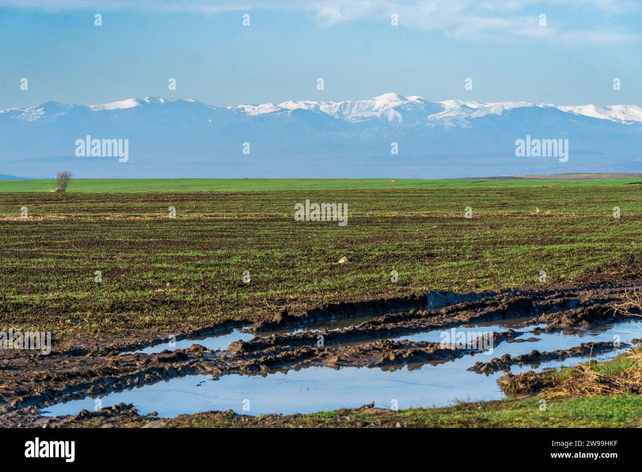 Winterlandschaft, Grasfeld mit Wasser im Vordergrund. Berggipfel, bedeckt mit Schnee in der Ferne. Irgendwo in Mazedonien. Dezember 2023 Stockfoto