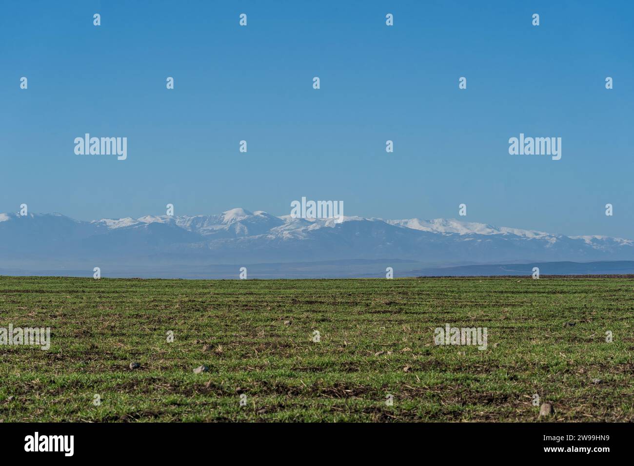 Irgendwo in Mazedonien. Landseite .Landschaft. Grasfeld. Wintersaison. Blauer Himmel. Stockfoto