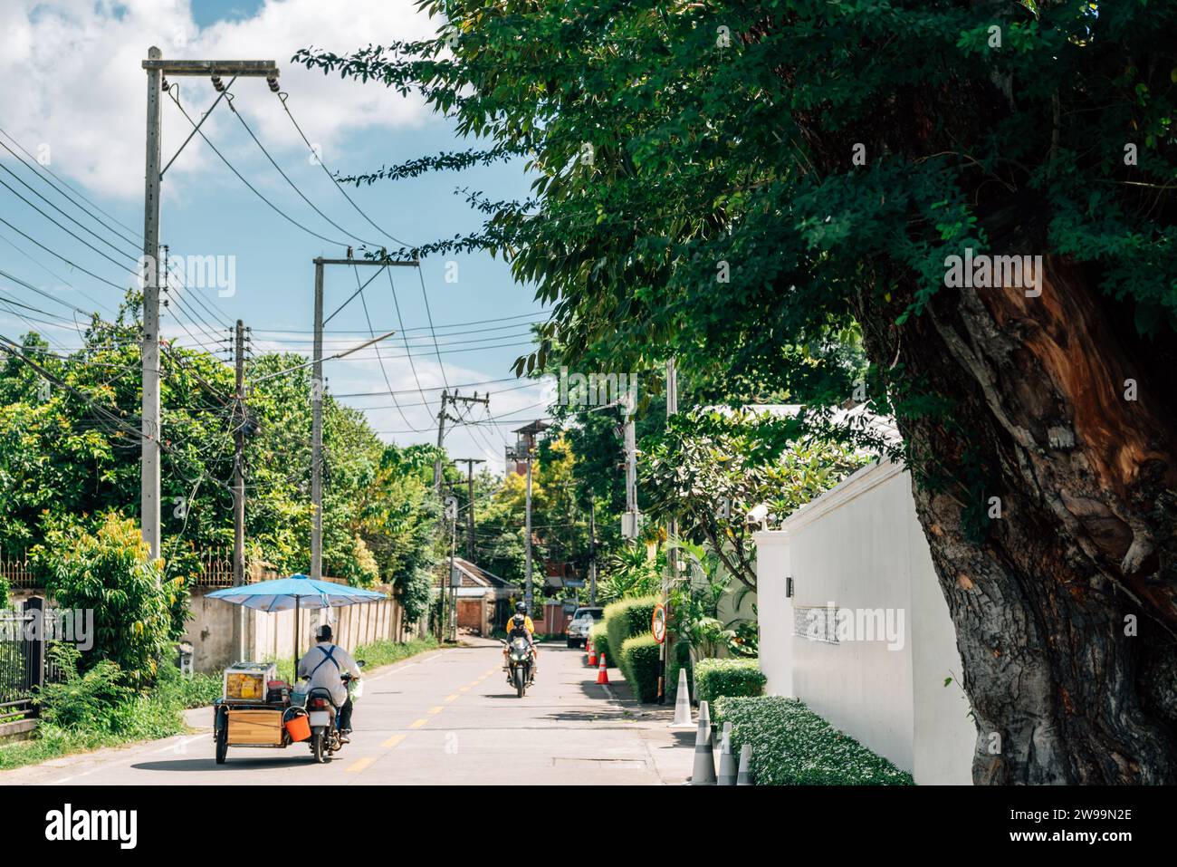 Street Food Cart Fahrrad und grüne Baumstraße in Chiang Mai, Thailand Stockfoto