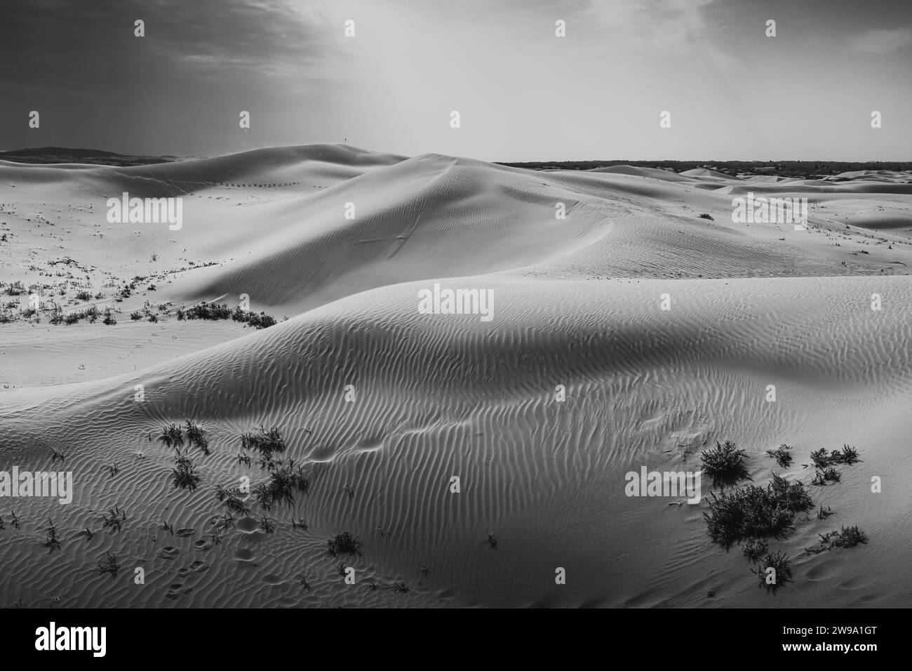 Wunderschöne unberührte Sanddünen in der Inneren Mongolei, China. Hintergrundbild, Hintergrundbild mit Kopierraum für Text, Schwarzweiß Stockfoto