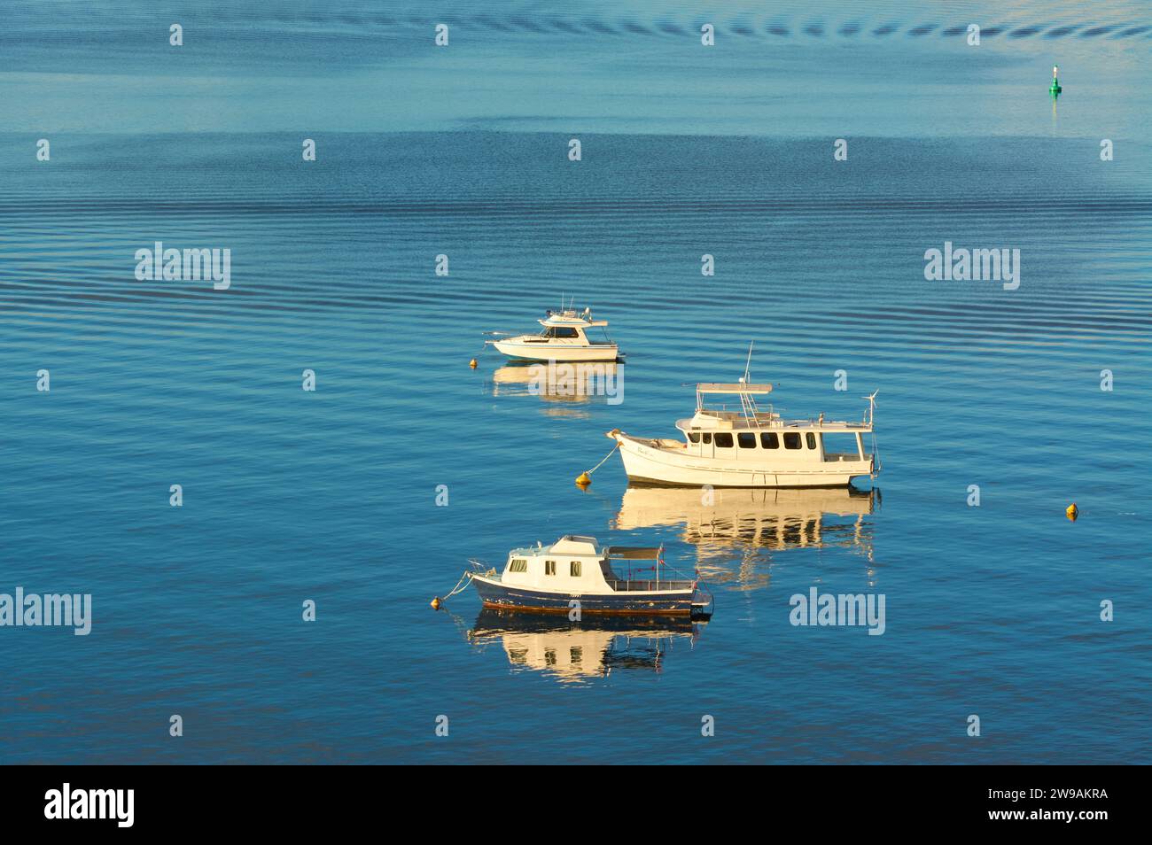 Drei Boote in der Mosman Bay auf dem Swan River im späten Nachmittagslicht mit Wellen auf dem Wasser vorbeiziehender Boote, Perth, Western Australia. Stockfoto