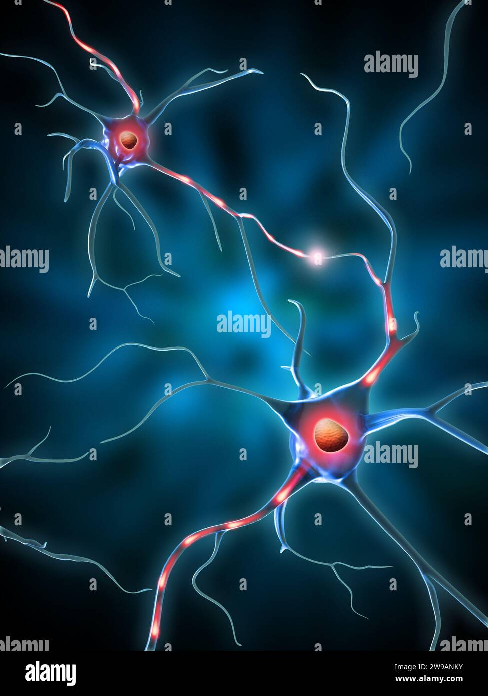 Elektrochemische Transmission zwischen Neuronen. Digitale Illustration. Stockfoto