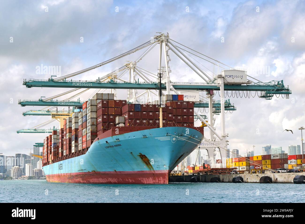 Miami, Florida, USA - 1. Dezember 2023: Dockside-Kräne beladen das Maersk-Containerschiff Gjertud Maersk in Miami Docks Stockfoto