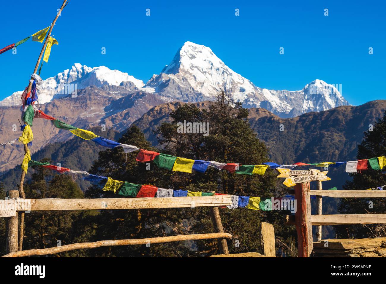 Annapurna-Gipfel und Gebetsflagge auf dem Poon-Hügel im Himalaya, nepal Stockfoto