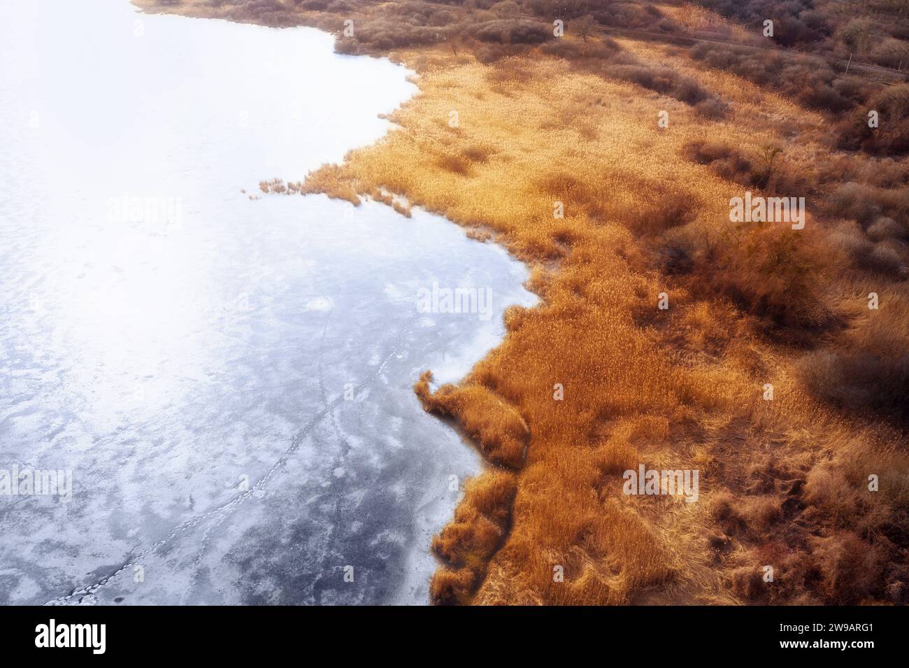 Winterlandschaft mit gefrorenem See und trockenen Klumpen entlang der Küste bei Sonnenaufgang. Luftaufnahme. Stockfoto