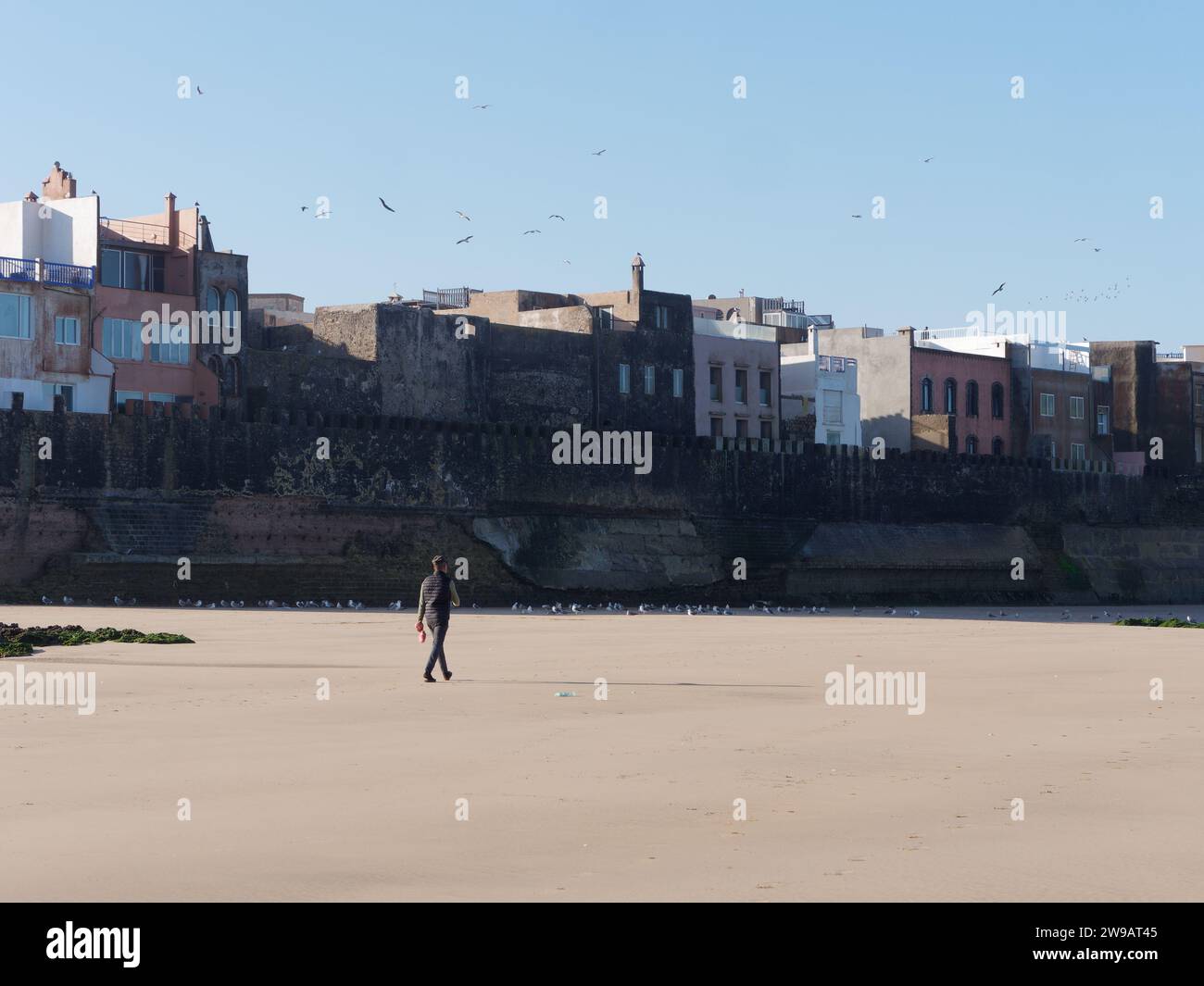 Der Mensch spaziert an einem Sandstrand, während Vögel im Schatten neben den Stadtmauern der Medina in Essaouira, Marokko, sitzen. Dezember 2023 Stockfoto