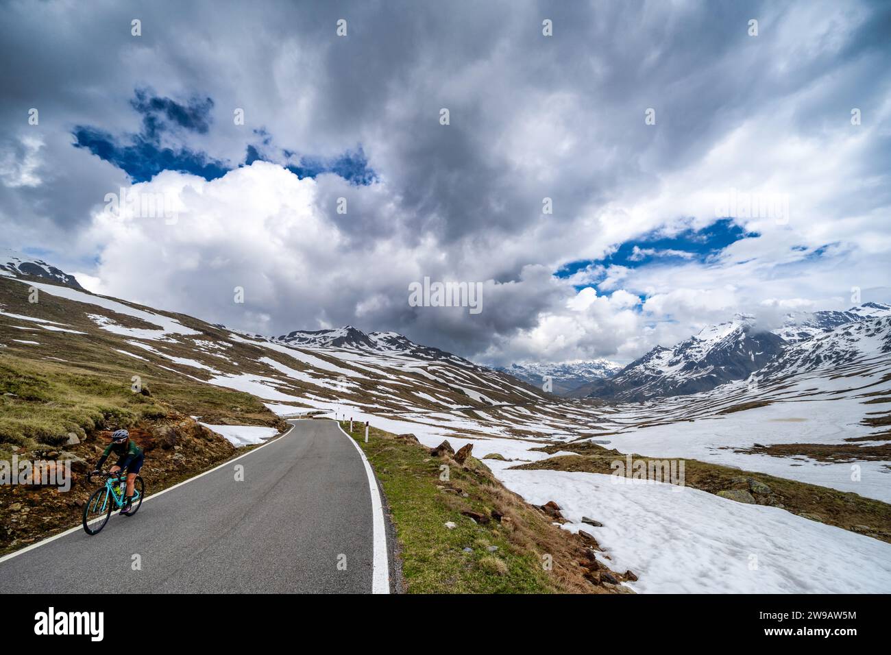 Rennradfahren am Gavia Pass, Italien Stockfoto