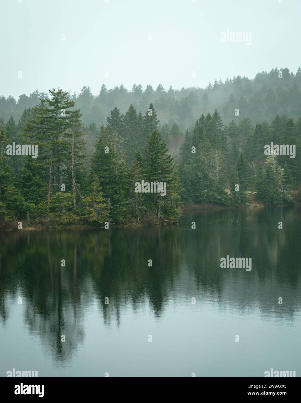 Nebelszene am Bennett Lake im Fundy National Park, New Brunswick, Kanada Stockfoto