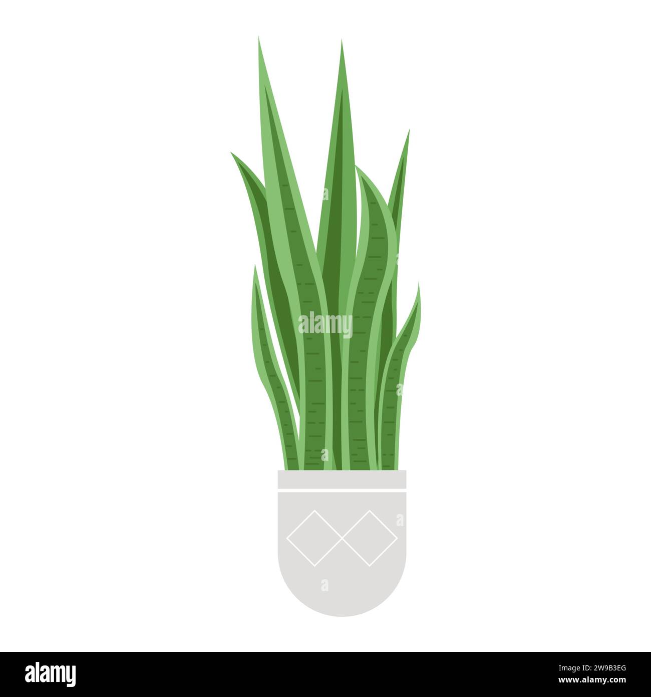 Natürliche Topfhauspflanze. Dekorative Pflanze für Innenarchitektur, pflanzliche Blume Cartoon Vektor Illustration Stock Vektor