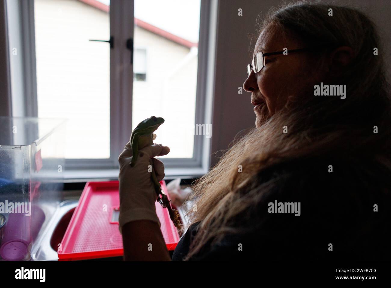 deborah-pergolotti-von-frogsafe-inc-weist-auf-die-wunden-an-einem