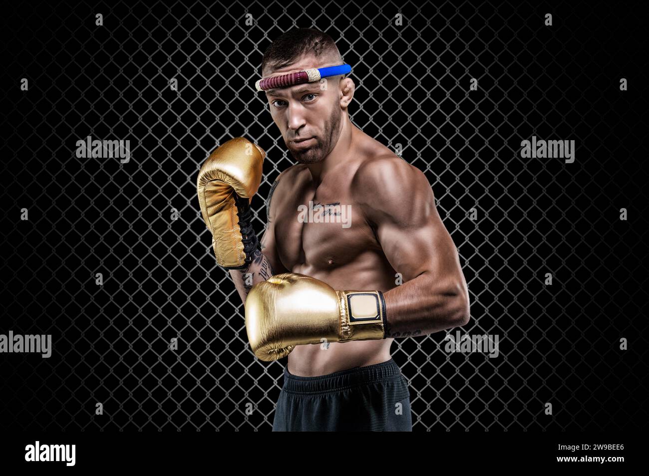 Professioneller Wrestler steht in einem achteckigen Käfig. Gemischte Kampfkünste, muay thai, Kickboxkonzept. Gemischte Medien Stockfoto