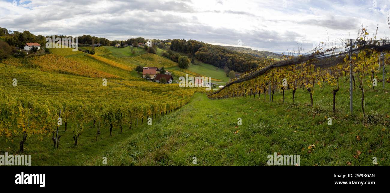 Weinberge im Herbst, bei Klöch, Panoramablick, südöstliches steirisches Bergland, Steiermark, Österreich, Europa Stockfoto
