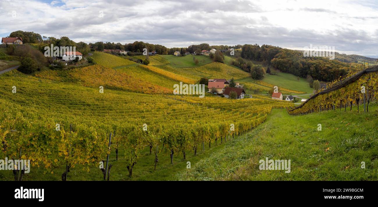 Weinberge im Herbst, bei Klöch, Panoramablick, südöstliches steirisches Bergland, Steiermark, Österreich, Europa Stockfoto