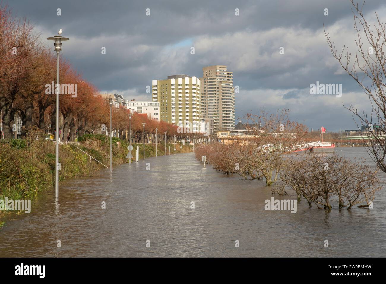 Hochwasser auf dem Rhein in der Kölner Innenstadt Stockfoto