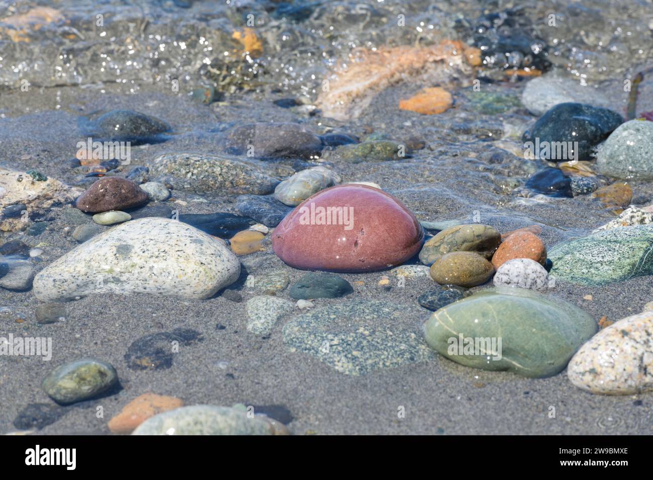 Mischung aus rot-grünen und bunten Steinen in flachem Meereswasser Stockfoto