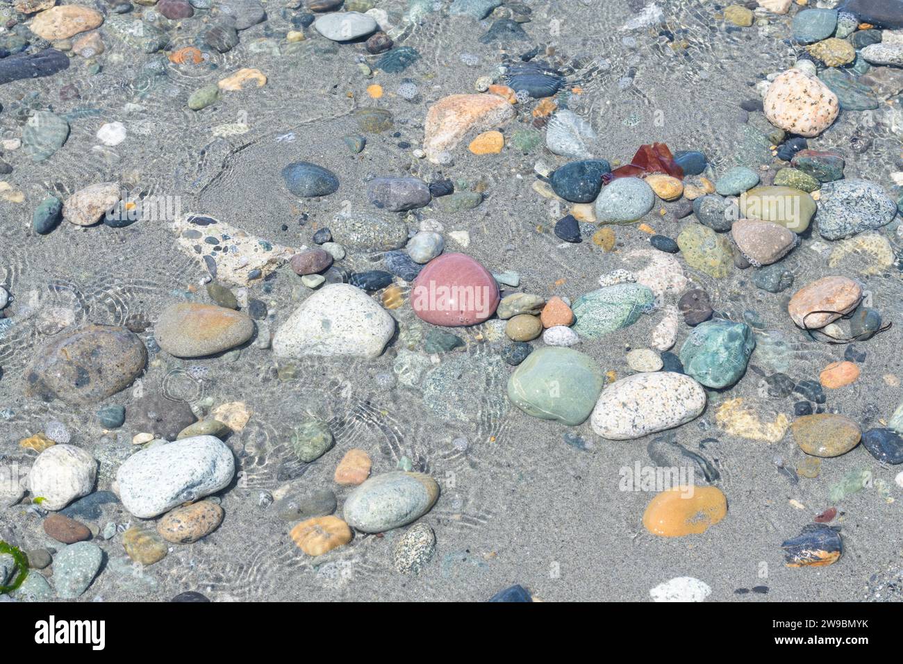 Mischung aus Natursteinen und Kieselsteinen in flachem Meereswasser Stockfoto