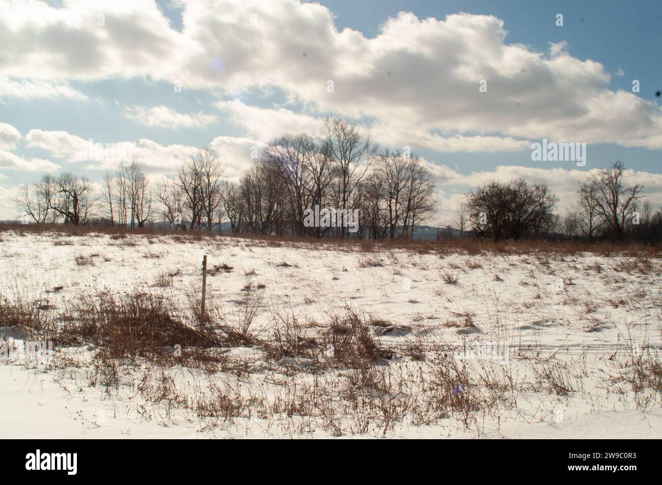 Winterlandschaft mit Bäumen und Feldern Stockfoto