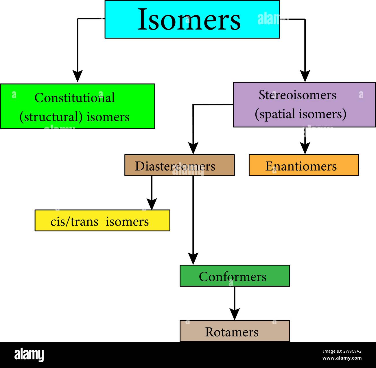 Die verschiedenen Arten von Isomeren. Stereochemie konzentriert sich auf Stereoisomere.Vektor-Illustration Stock Vektor