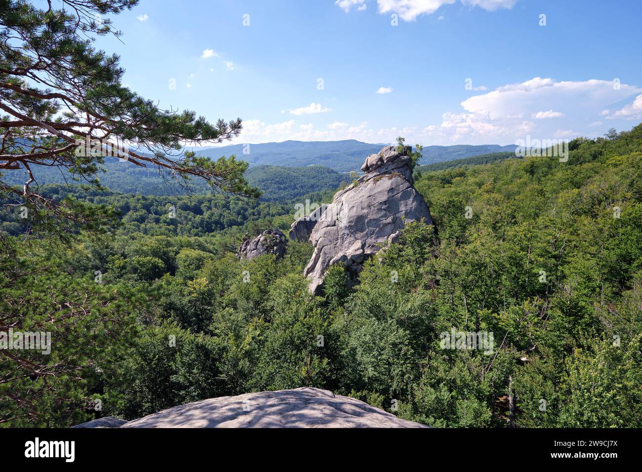 Riesige Felsformationen hoch in den Bergen mit wachsenden Bäumen an sonnigen Sommertagen Stockfoto