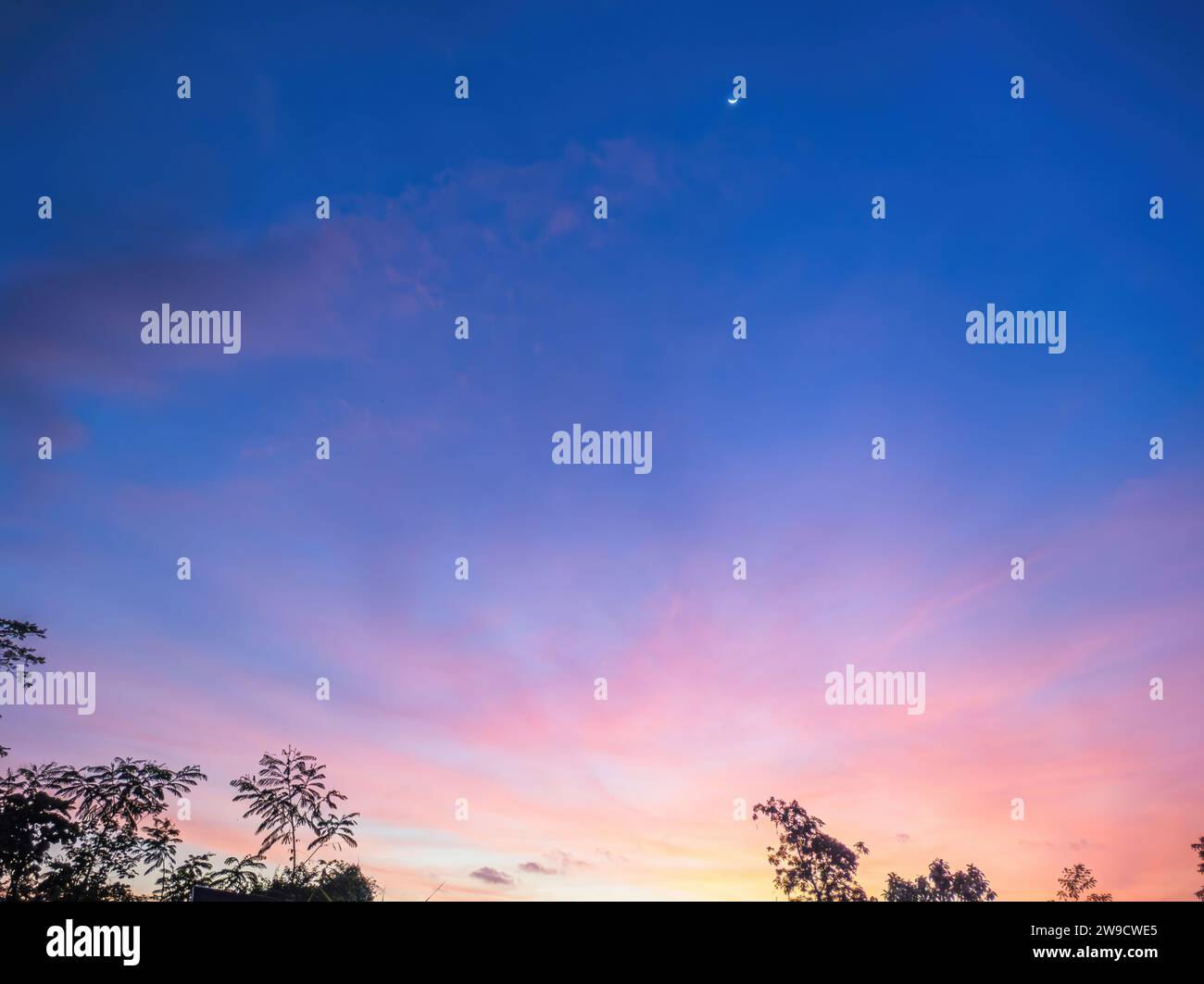 Wunderschöne Farbverlauf lila Sonnenuntergang Himmel Textur auf Blue Hour mit Bäumen Stockfoto