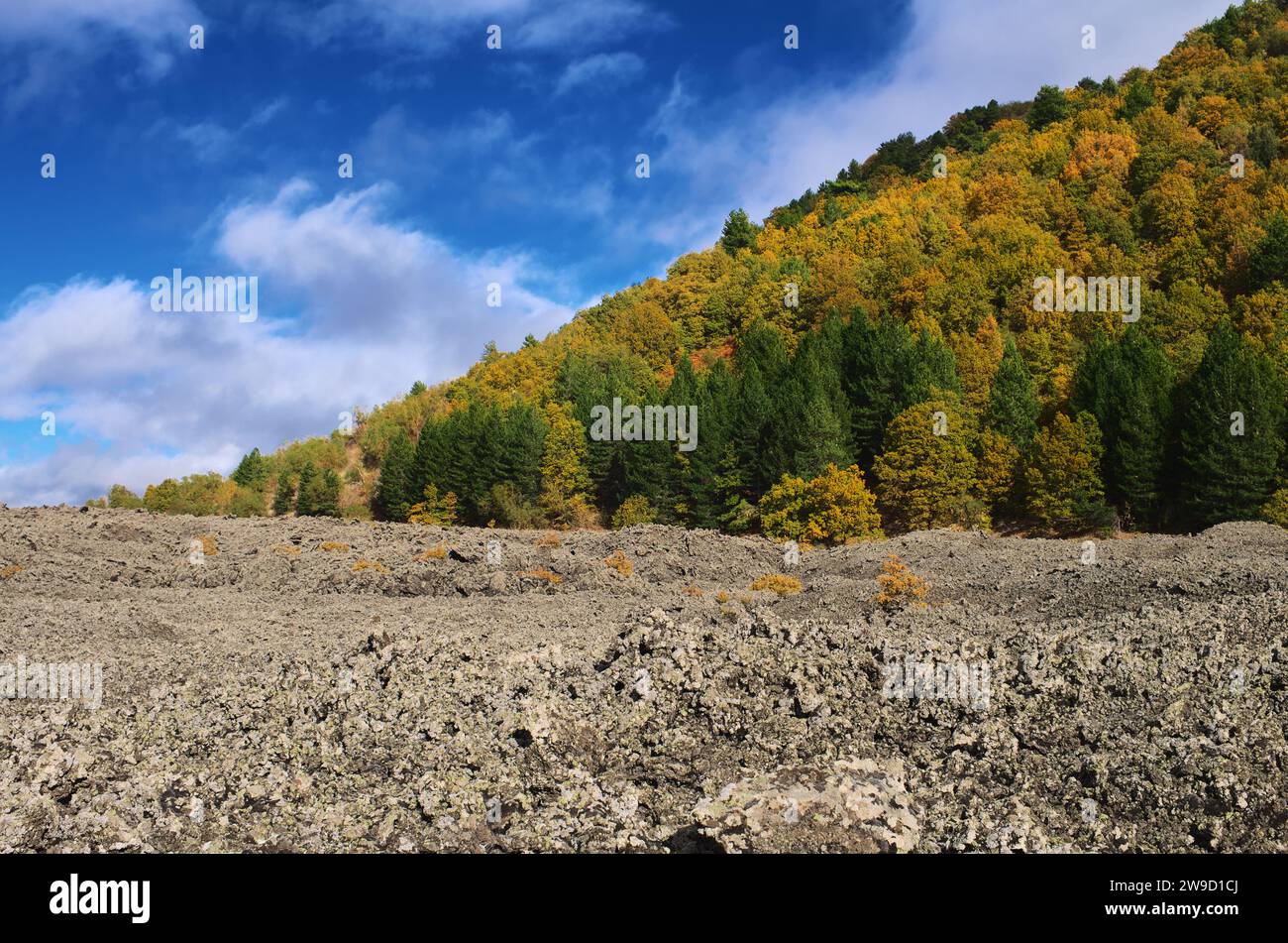 Geometrische abstrakte Landschaft mit Lavafeldern, farbenfrohen Mischwäldern und weißen Wolken am blauen Himmel, Ätna Park, Sizilien, Italien Stockfoto