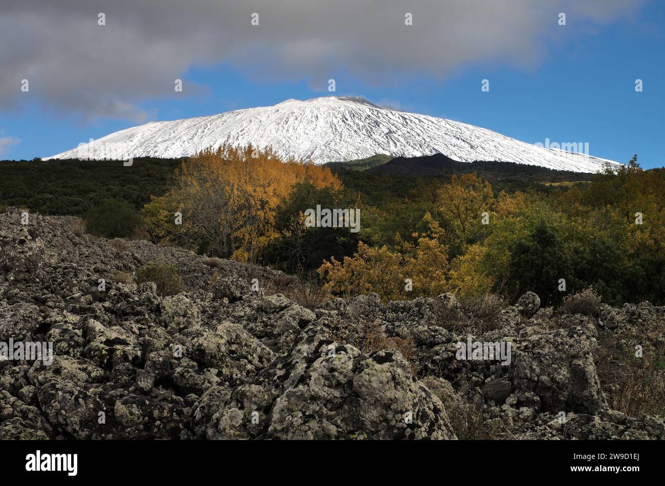 Schneebedeckter Ätna und Herbstlaub, Ätna Park, Sizilien, Italien Stockfoto