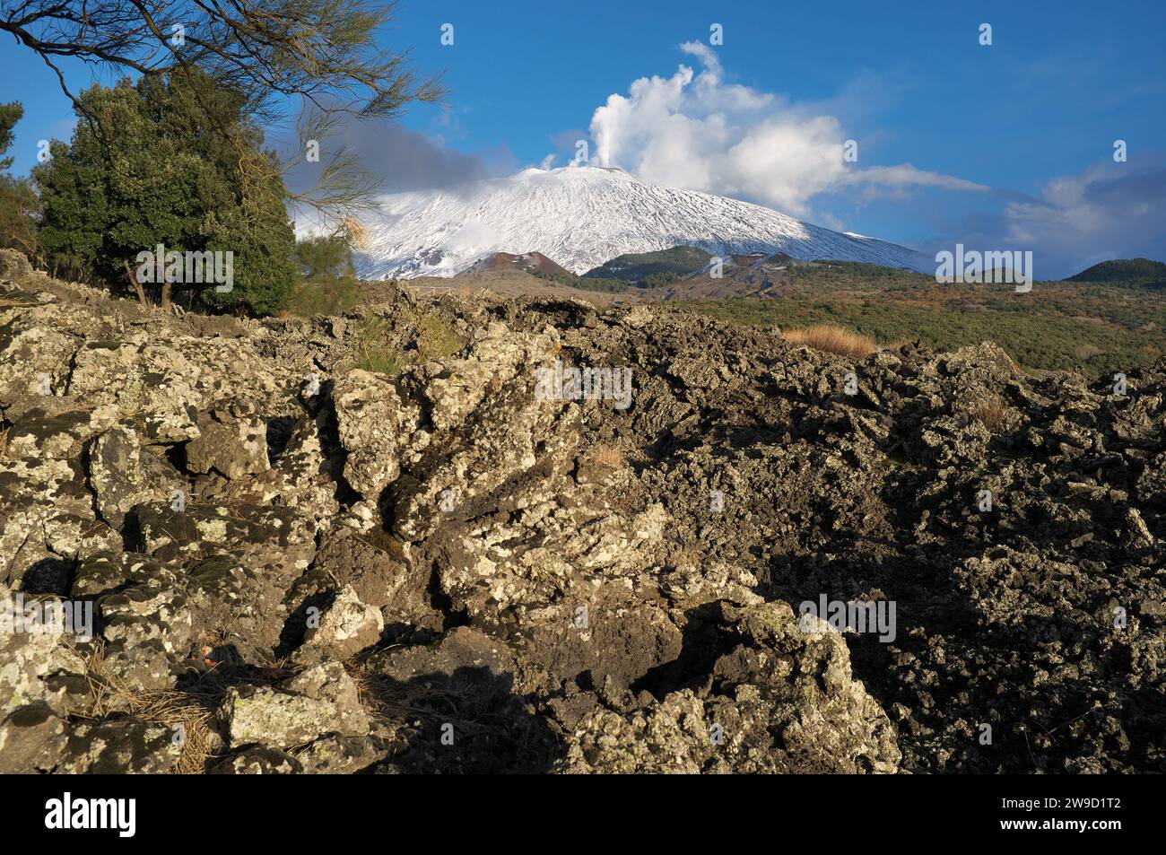 Altes Lavafeld und Vulkan Ätna, Ätna Park, Sizilien, Italien Stockfoto