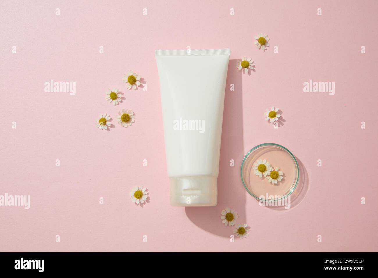 Ein weißer Kosmetikbehälter aus Kunststoff für Feuchtigkeitscreme oder Gesichtsreiniger auf rosa Hintergrund mit Kamillenblüten und Petrischale. Bis Stockfoto