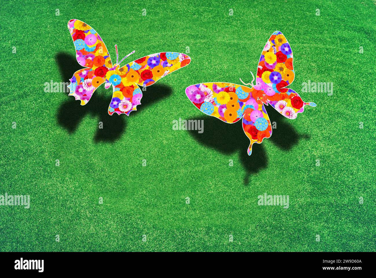 Zwei Schmetterlinge über einem grünen Rasen mit Schatten, die Flügel sind mit Blumen gemustert, Symbol für Naturschutz, Umweltschutz Stockfoto