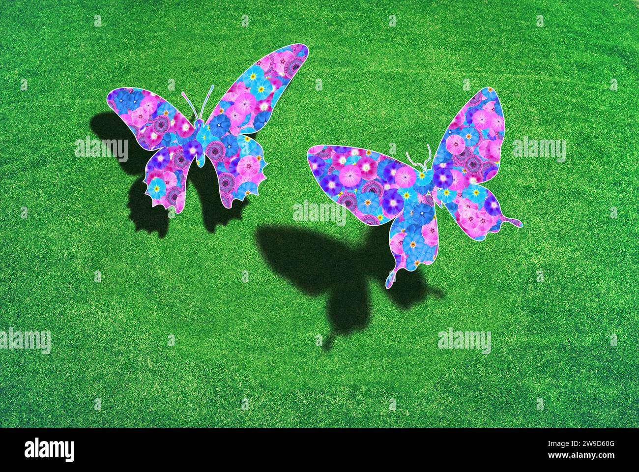 Zwei Schmetterlinge über einem grünen Rasen mit Schatten, die Flügel sind mit Blumen gemustert, Symbol für Naturschutz, Umweltschutz Stockfoto