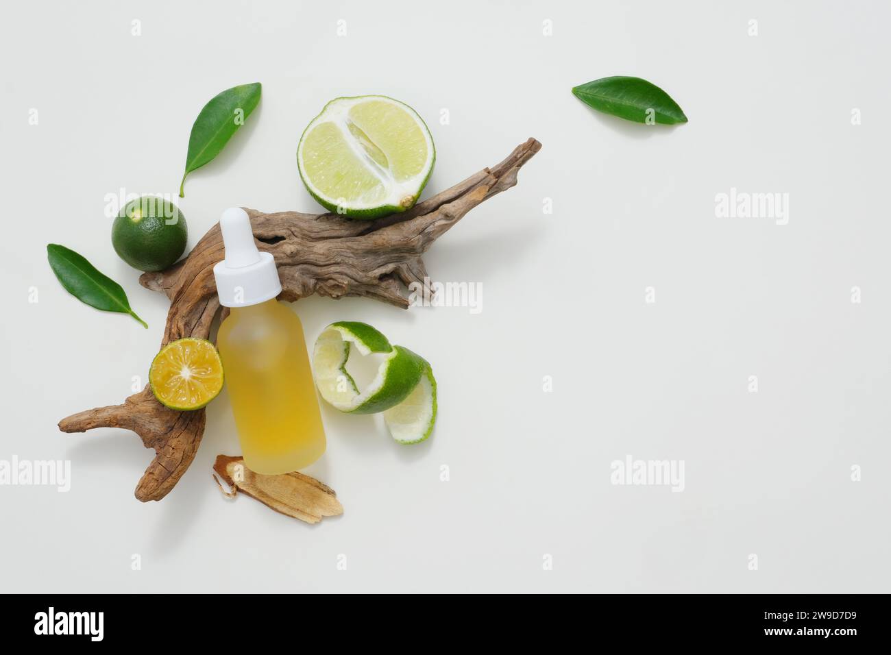 Natürliches Vitamin-C-Hautpflegeprodukt mit frischen Limettenscheiben, dekoriert mit grünen Blättern und trockenem Zweig auf weißem Hintergrund. Minimalistisches Konzept für Werbung Stockfoto