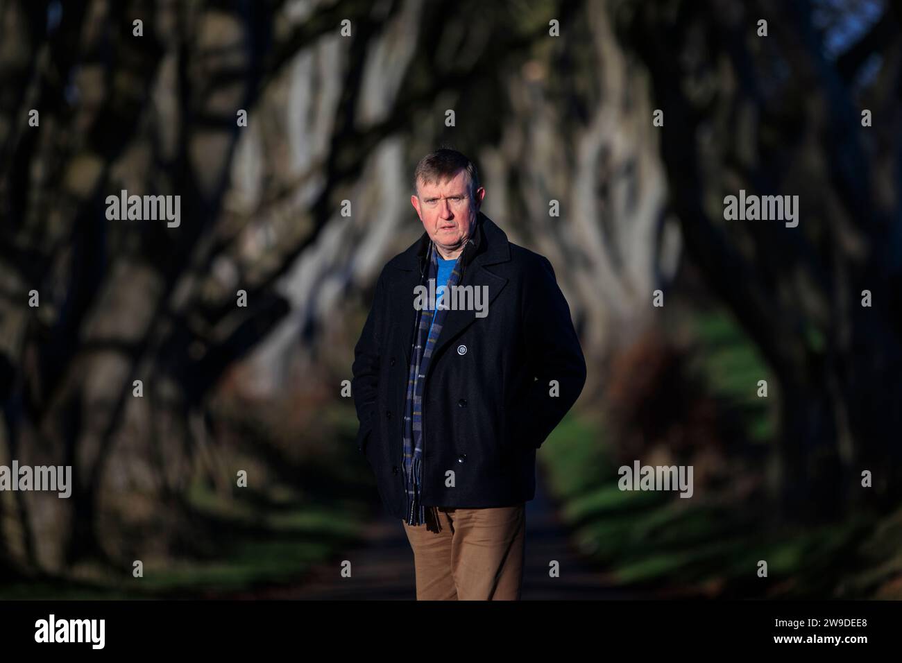 DUP Councillor Mervyn Storey von Causeway Coast und Glens Borough Council in den Dark Hedges bei Armoy in Co Antrim. Der Baumtunnel wurde berühmt, als er in der HBO-Fantasy-Serie Game of Thrones vorgestellt wurde und zieht heute eine große Zahl von Touristen aus der ganzen Welt an. Sechs der Bäume wurden entfernt, an einigen anderen wurden Sanierungsarbeiten durchgeführt. Bilddatum: Dienstag, 5. Dezember 2023. Stockfoto