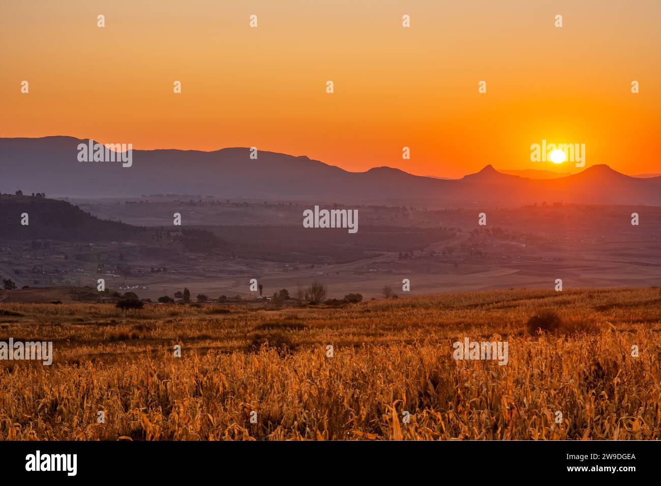 Getreidefelder und Berge bei Sonnenuntergang im Königreich Lesotho, Afrika Stockfoto