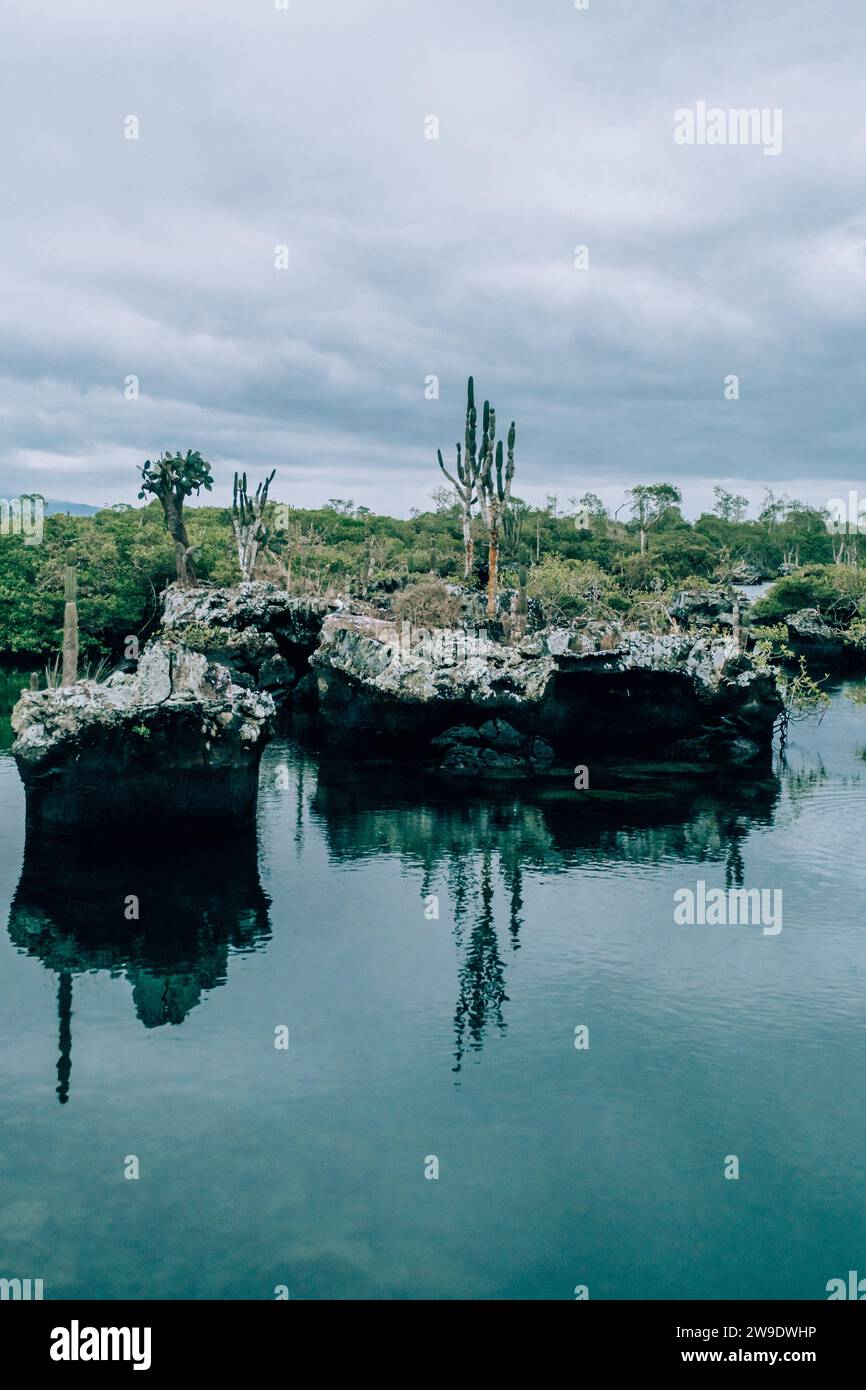 Ruhiges Wasser umgeben von Felsformationen und Kakteen in Los Tuneles, Isla Isabela, Galapagos, Ecuador Stockfoto