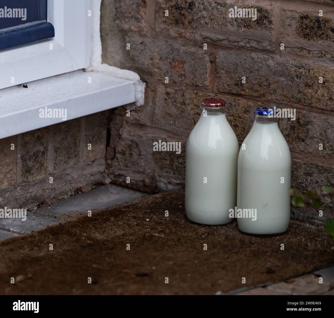 Doorstep Milchlieferung GB. Ein Pint Magermilch und ein Pint halbMagermilch in Glasflaschen vor der Haustür, die ein Milchmann in Großbritannien hinterlassen hat. Stockfoto