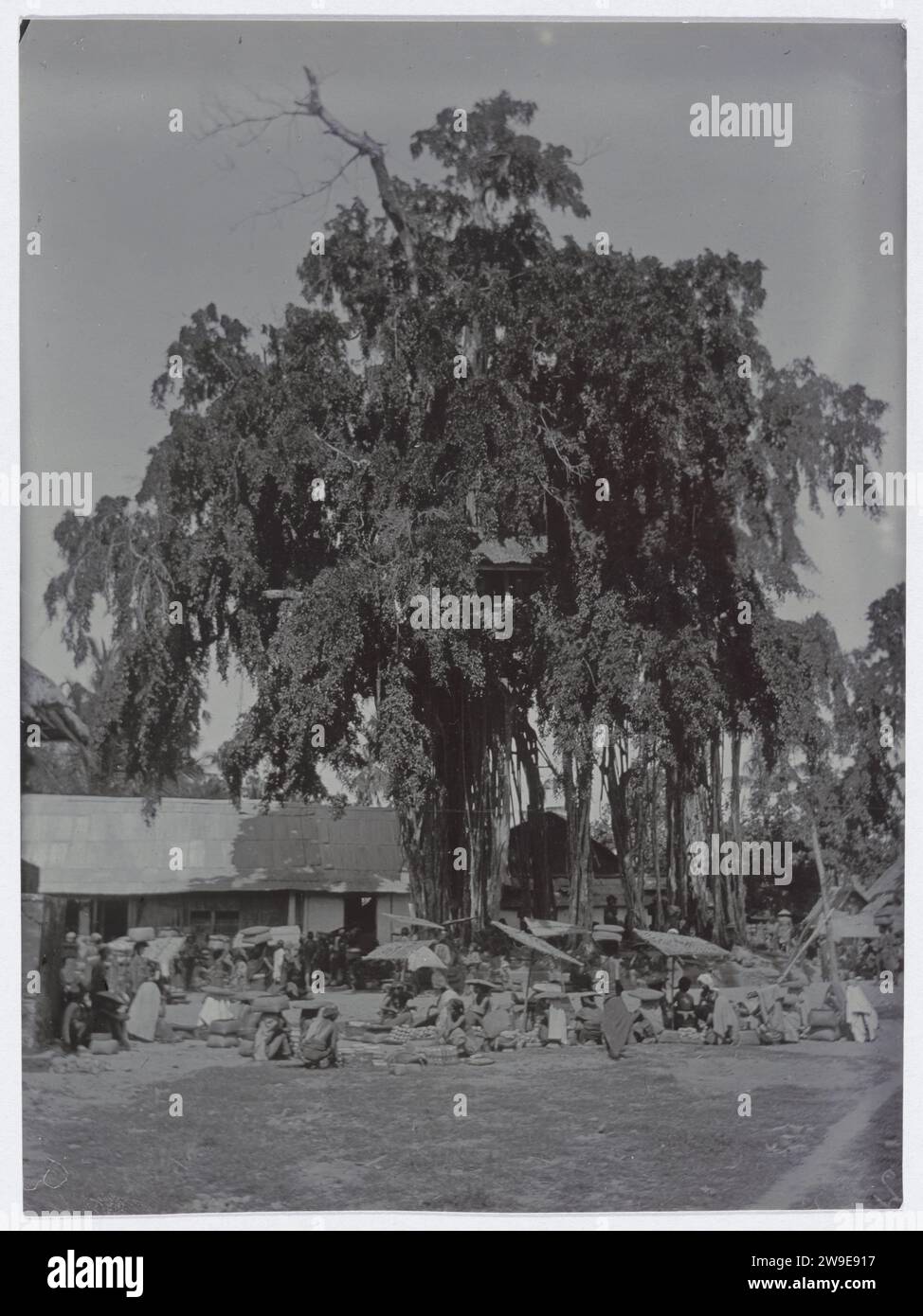 Ein Waringin-Baum, 1900 - 1915 Fotografieren Sie einen Waringin-Baum ohne Stiel, der auf den Luftwurzeln ruht. Um den Baum herum ist ein geschäftiges Treiben mit Verkehr und Verkauf von Produkten auf der Straße. Jakarta (möglicherweise) Papier. Albumendruck mit Fotounterstützung Stockfoto