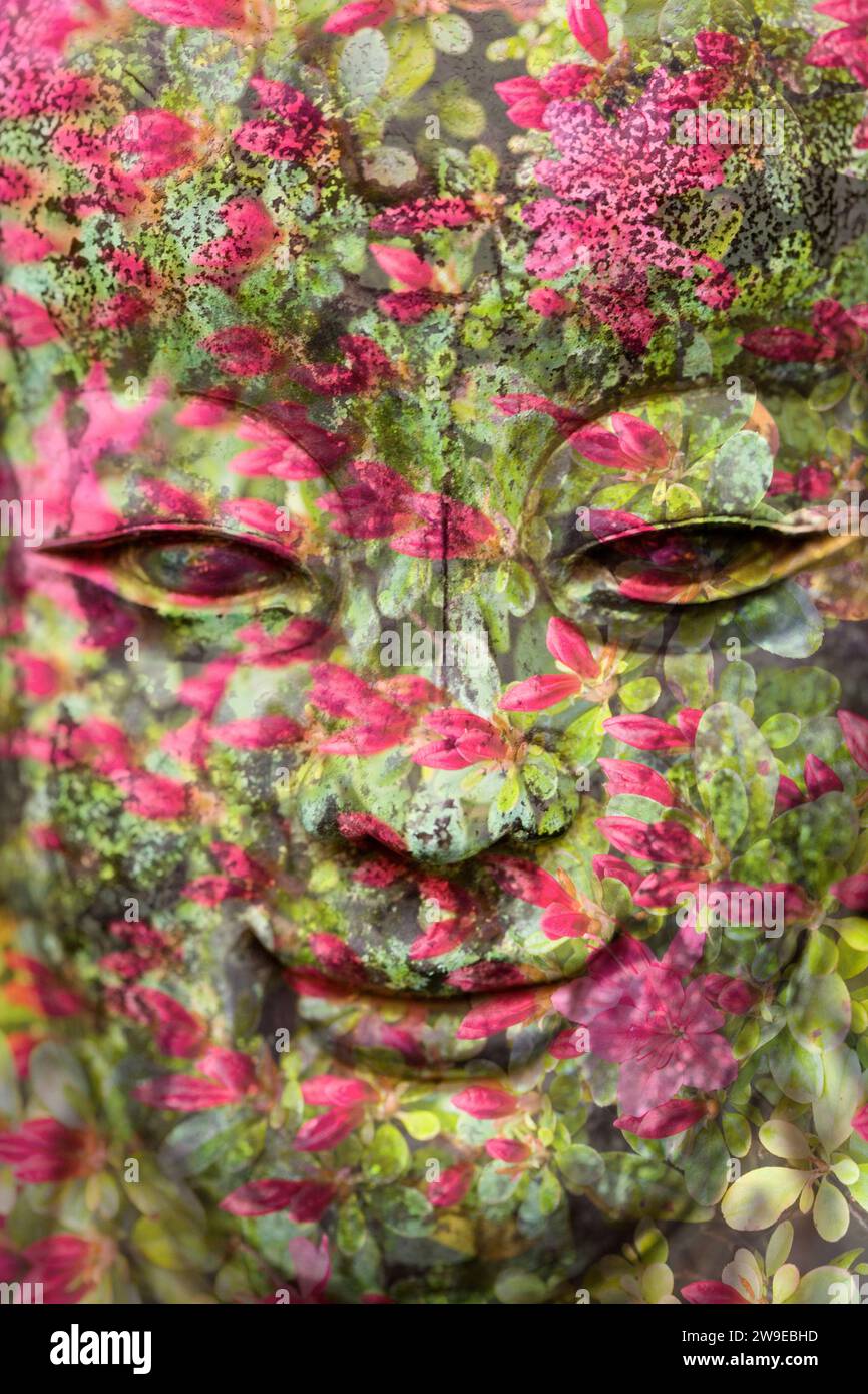 Buddha-Statue, digital verändert Stockfoto