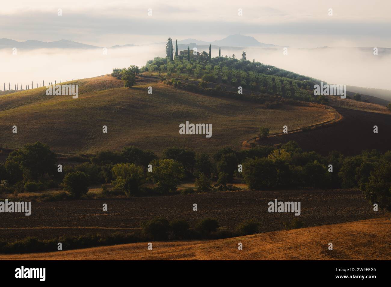 Morgennebel durch das Tal von Val d'Orcia in der malerischen Landschaft Ackerland und sanften Hügeln der ländlichen Toskana, Italien. Stockfoto