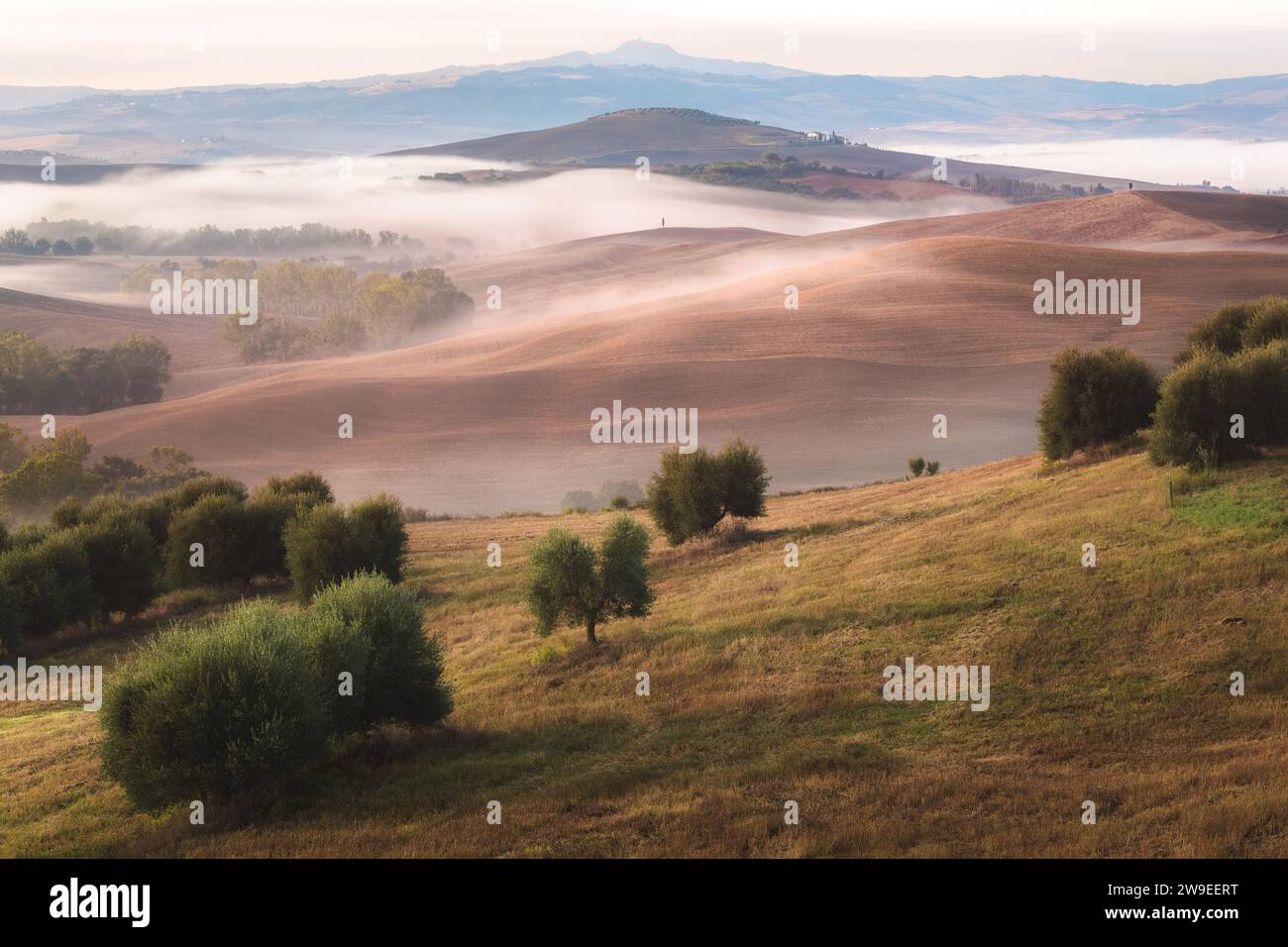 Stimmungsvoller Morgennebel durch das Tal von Val d'Orcia in der malerischen Landschaft und sanften Hügeln der ländlichen Toskana, Italien. Stockfoto