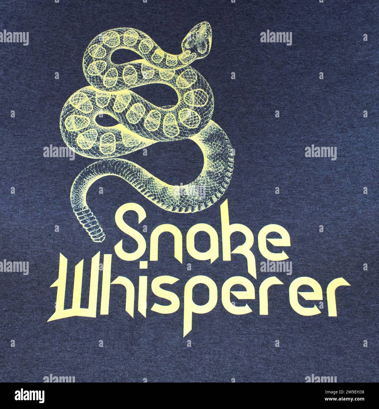17. November 2023 Ocala, Florida, USA. Schlangenflüsterdesign mit großer Reptilienschlange Stockfoto