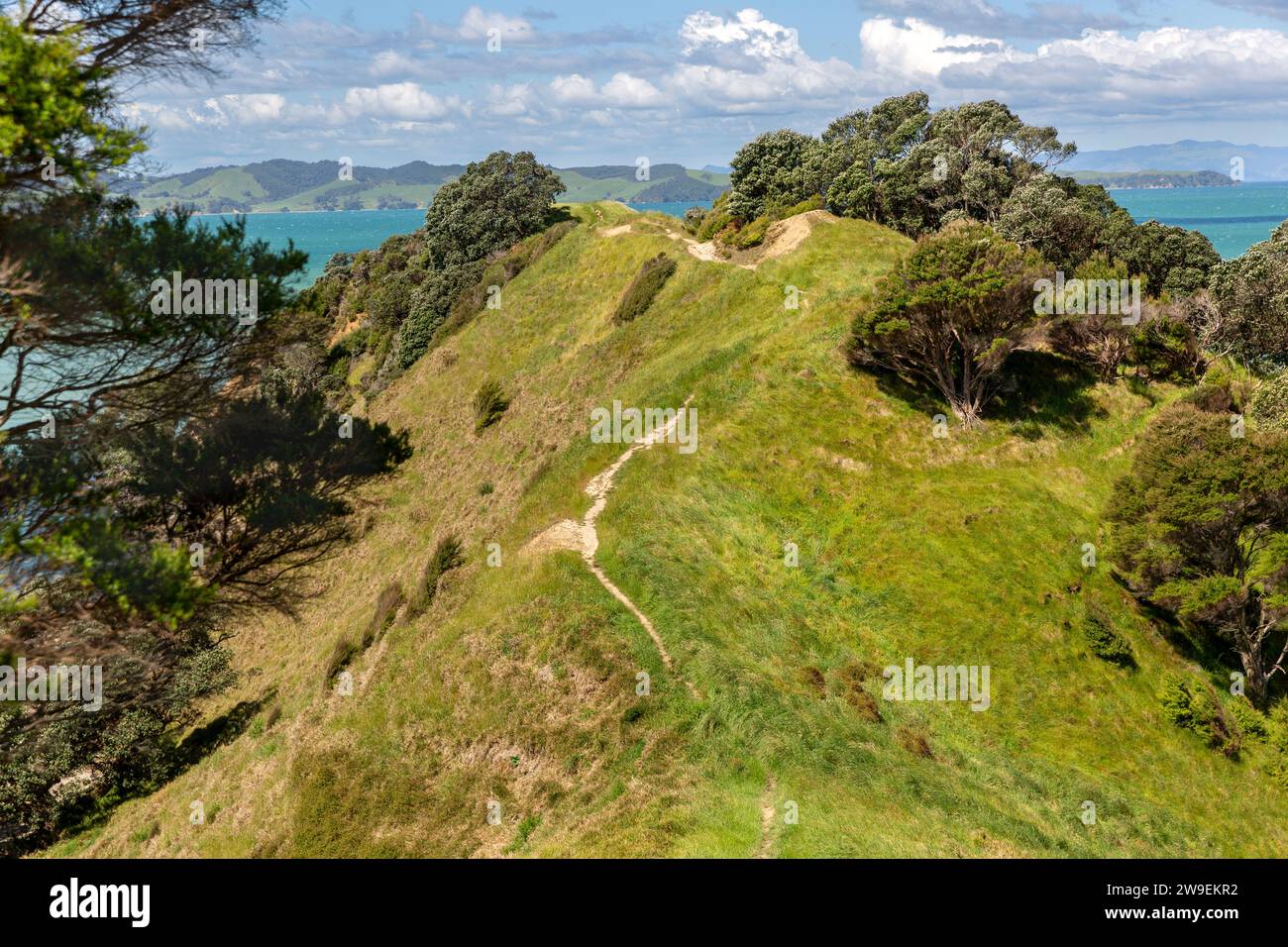 Historischer Whakakakaiwhara Pā Spaziergang im Duder Regional Park, Region Auckland/Nordinsel/Neuseeland. Der Point of Land ist die historische Stätte von A Stockfoto