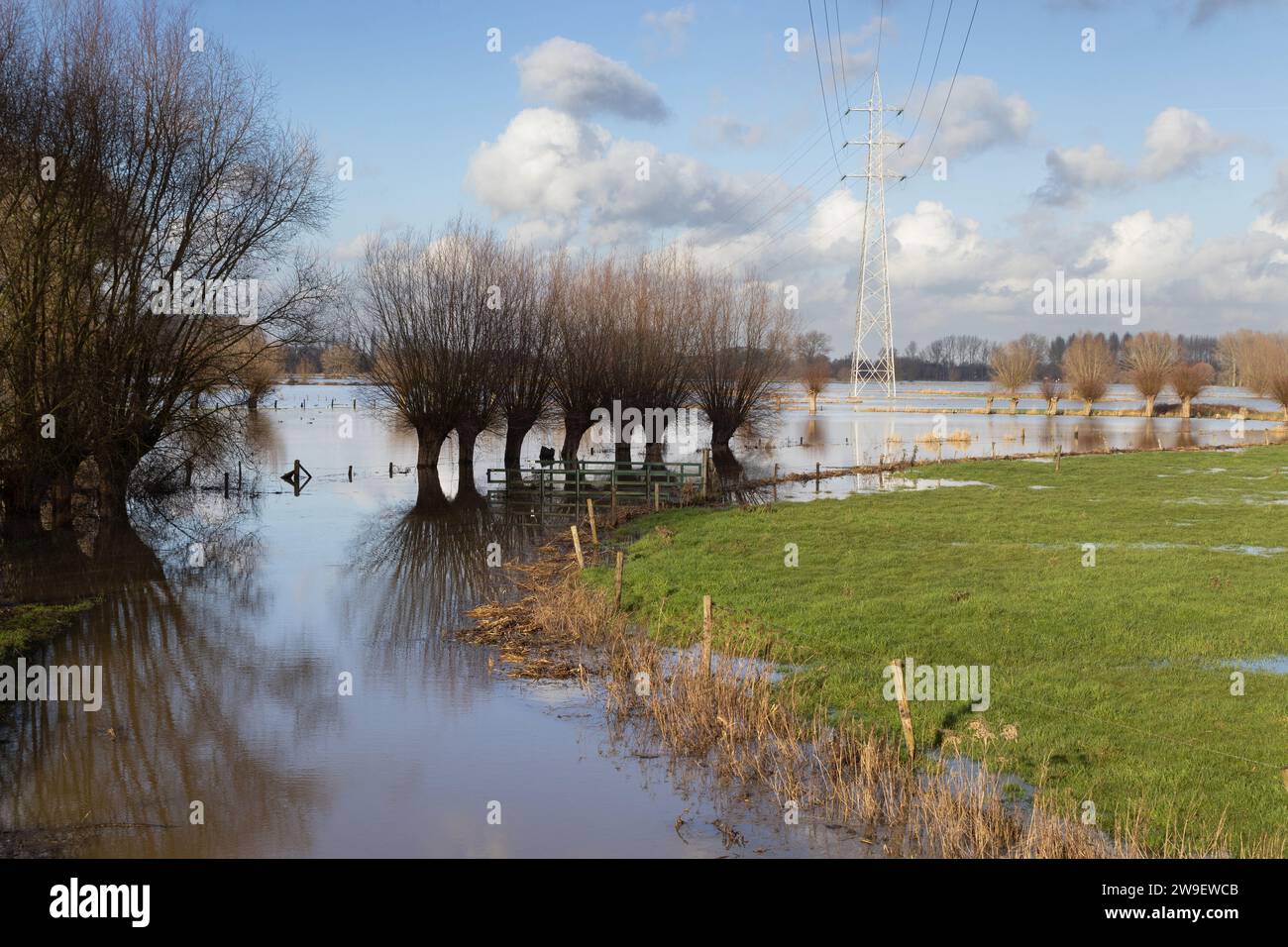 Saisonale Überschwemmungen bei Denderbellebroek (Bellebroek) in Ostflandern, Belgien. Sie ist Teil des Naturschutzgebiets Beneden-Dender und eine Hochwasserebene für die Th Stockfoto