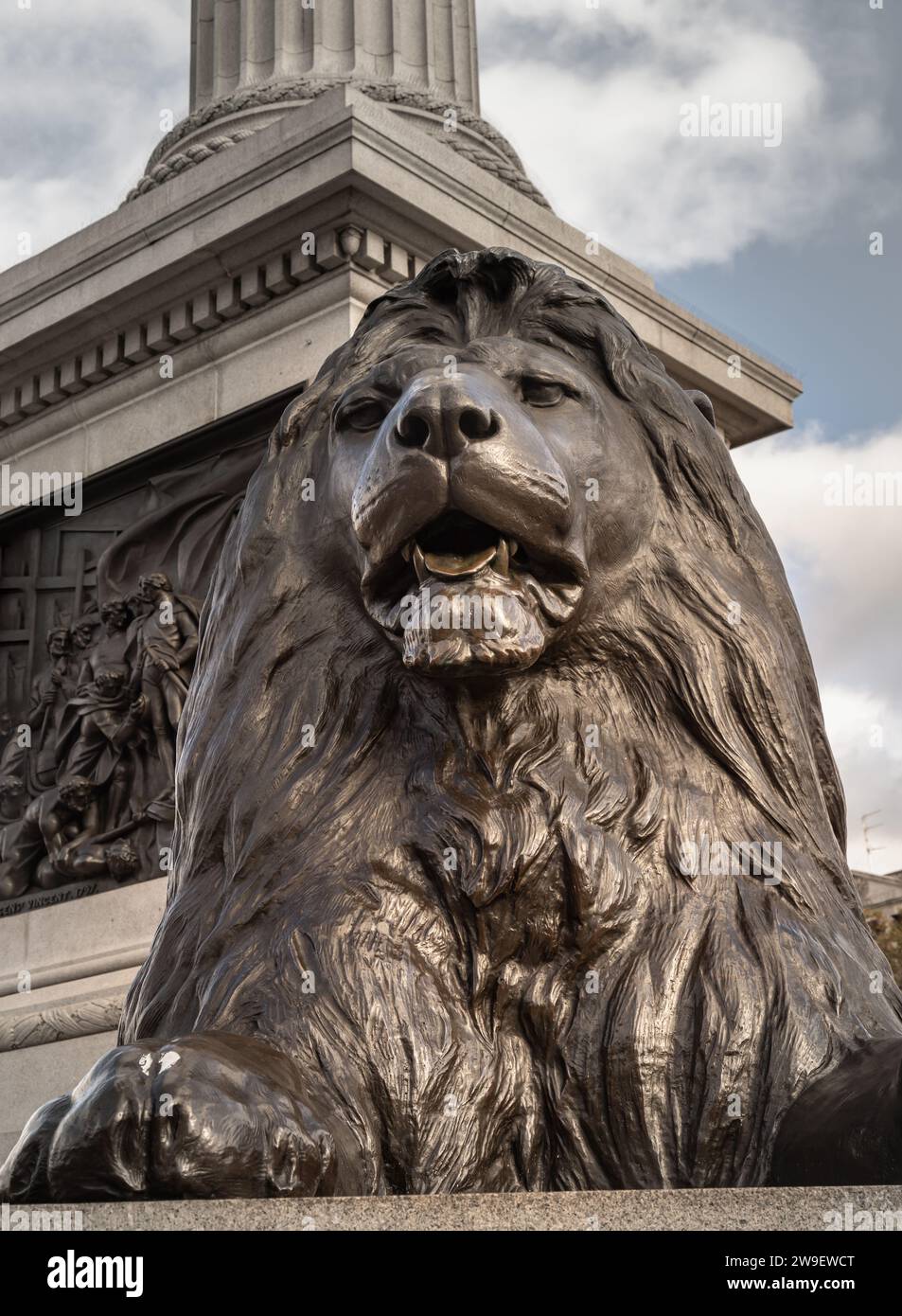 London, Großbritannien - 1. November 2023 - eine der vier bronzenen landseer-Löwen-Statuen am Fuß der Nelson-Säule vor dem Gebäude der National Gallery. Ansicht von Stockfoto