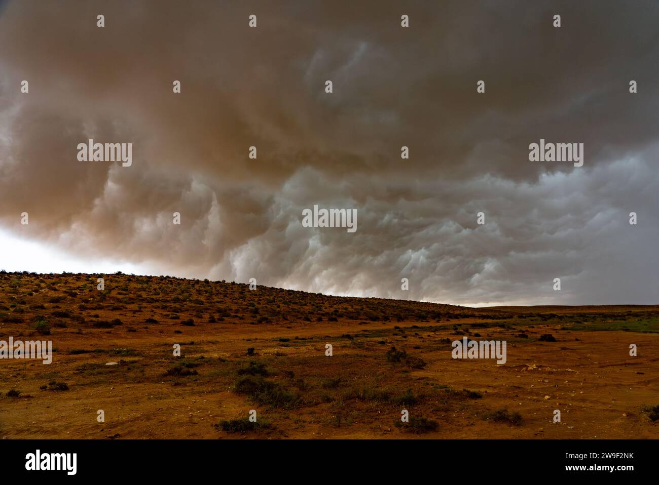 Sandsturm in der Wüste Stockfoto