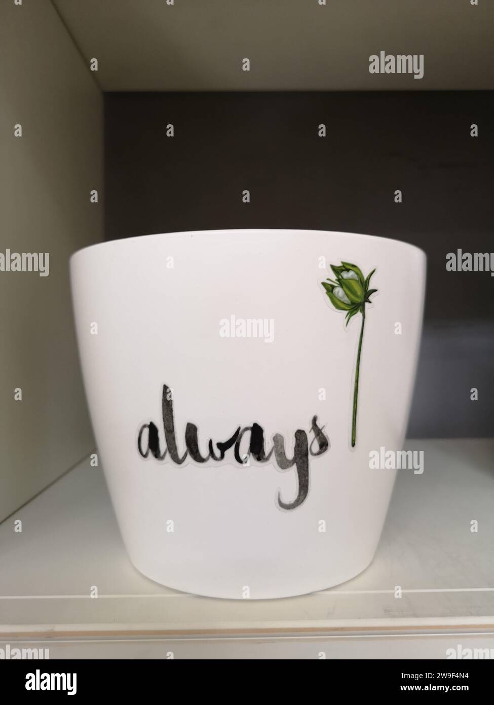 Eine weiße Keramikschale mit einer einzelnen roten Rose und dem Wort, das immer darauf gedruckt ist, auf weißem Hintergrund Stockfoto