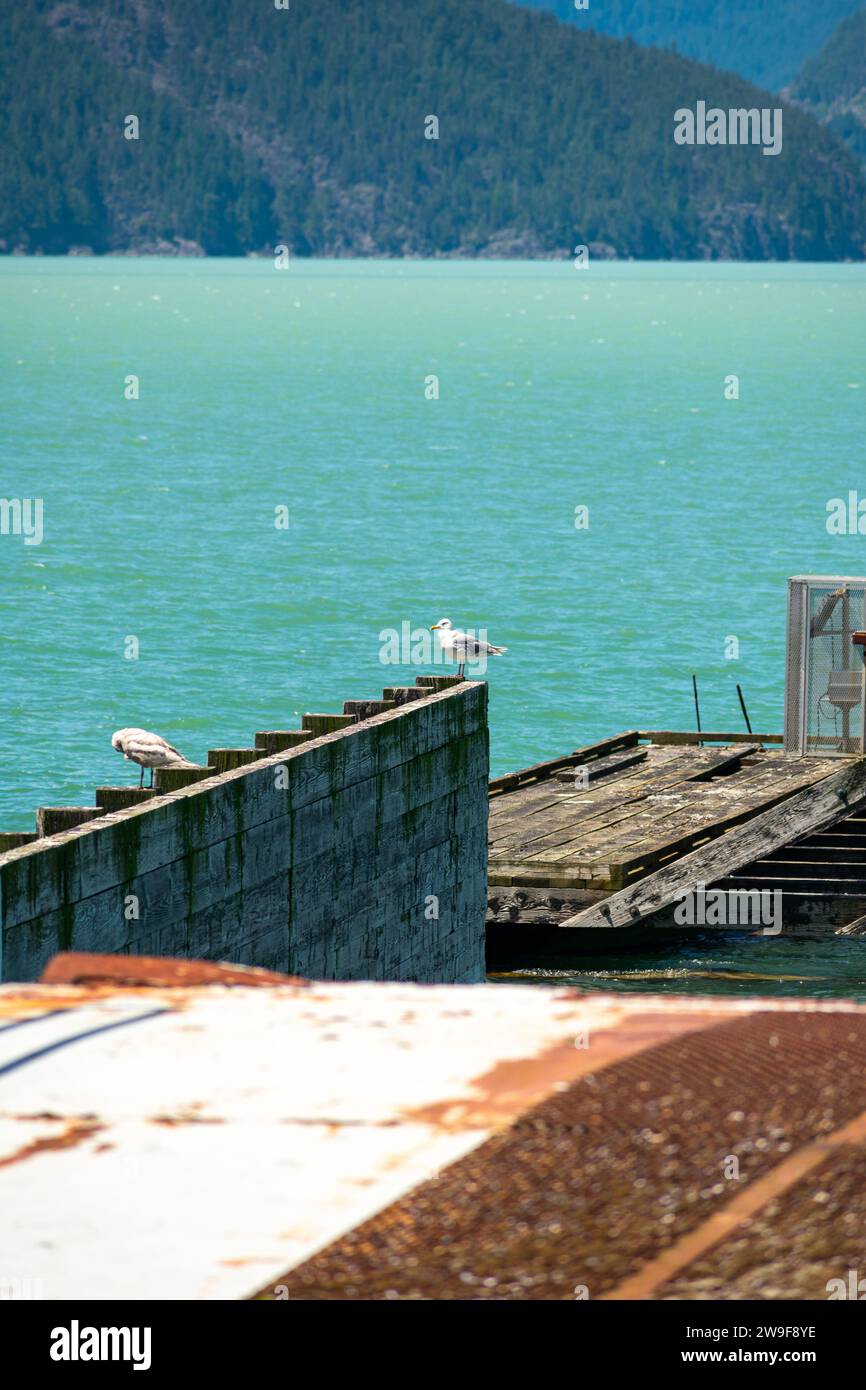 Möwen ruhen auf einem rostigen Pier in Porteau Cove, vor der ruhigen Kulisse eines bergigen Fjords. Stockfoto