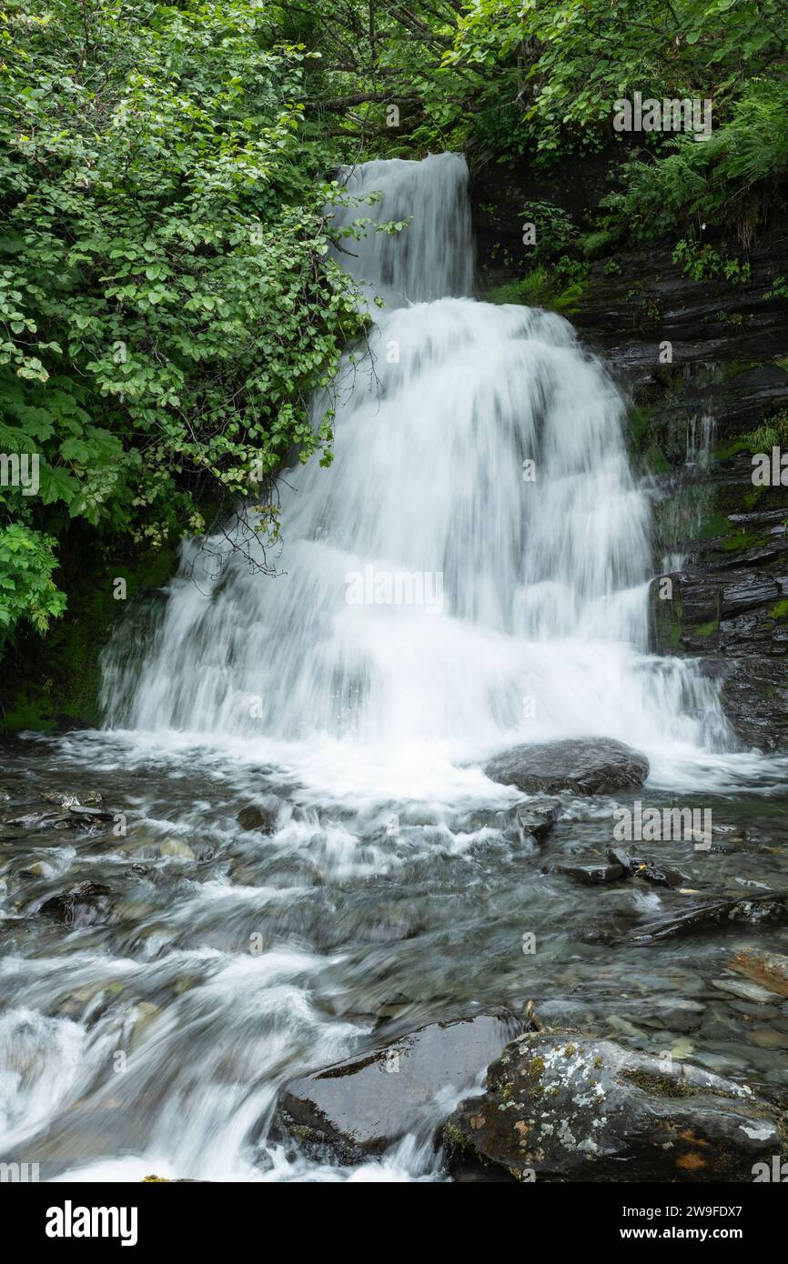 Nordamerika; Usa; Alaska; Prince William Sound; Valdez; Chugach National Forest; Crooked Creek Falls; Wasserfall Stockfoto